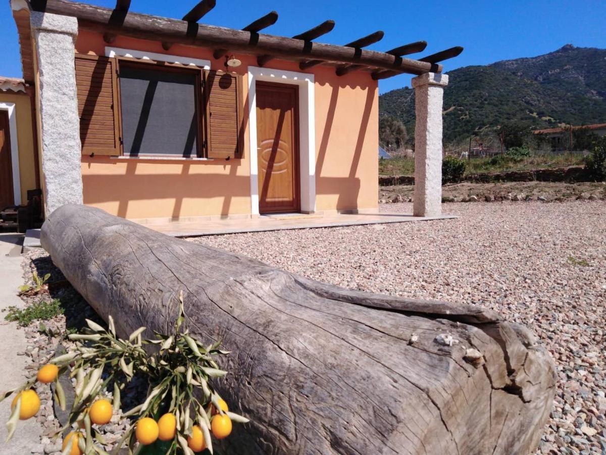 Agriturismo Donnolu Tertenìa Exteriér fotografie