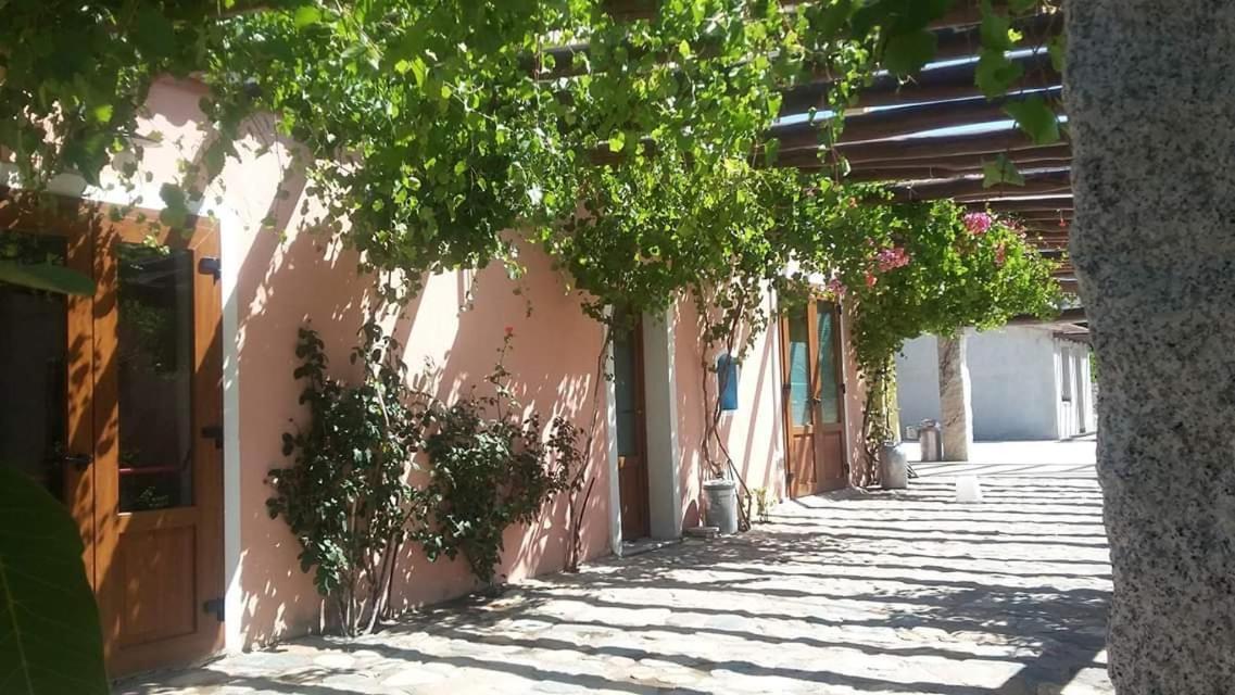 Agriturismo Donnolu Tertenìa Exteriér fotografie